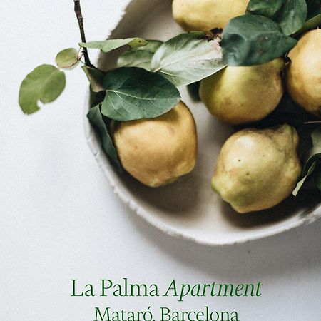 Apartamento Atico En El Casco Antiguo Mataró Buitenkant foto